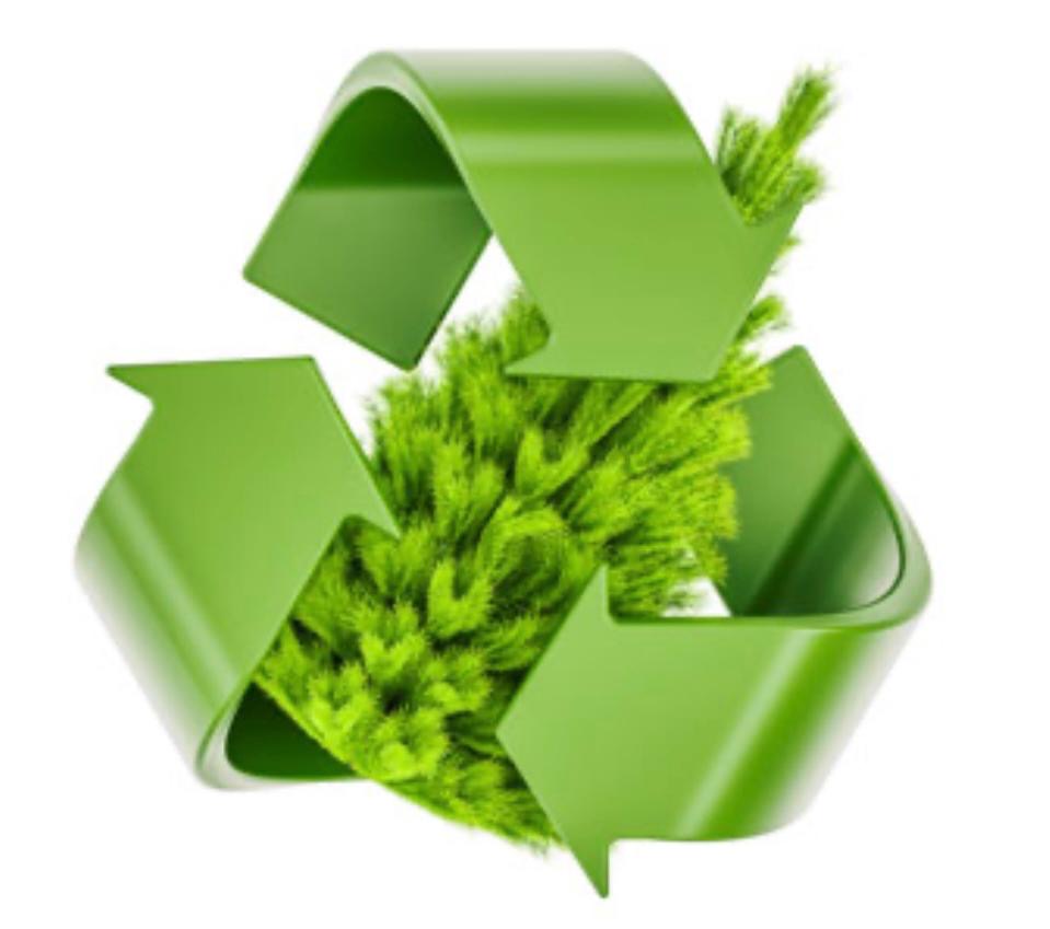 Christmas Tree Collection and Disposal Service (Incl. VAT)